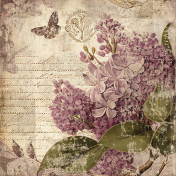 Shabby Vintage #11 Paper 03