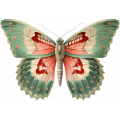 Collected Curiosities #4- Butterfly 01