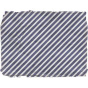 CC#13 Vellum 