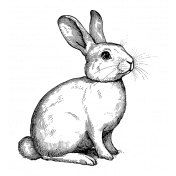 CC#12 Sticker Black and White 05