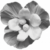 Flower Template 3I