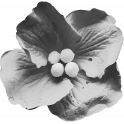 Flower Template 3J