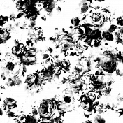 CC6 OVerlay 1