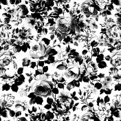 CC6 OVerlay 2