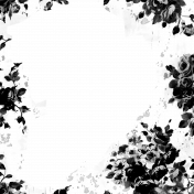 CC6 OVerlay 3