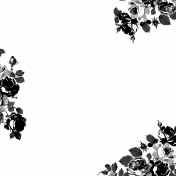 CC6 Overlay 7