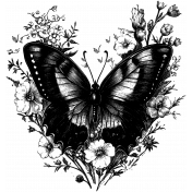 CC14 Illustration Butterfly