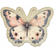 Collected Curiosities #14 Butterfly 03