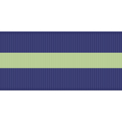 Lime Green and Navy Ribbon