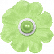 Key Lime Flower Fruity Collection