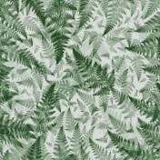 Textured Green Fern Paper