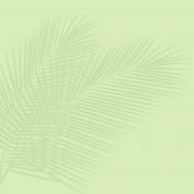 ps-commons-sharinjohnson-lime-green-palm-fronds