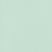 Spring Fever Solid Paper Mint Green