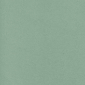 Spring Fever Solid Paper Moss Green