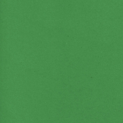 Spring Fever Solid Paper Kelly Green