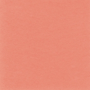 Keep It Moving: Solid Paper Cardstock 01, Rose