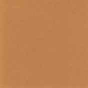 Keep It Moving: Solid Paper Cardstock 01, Tan