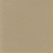 Keep It Moving: Solid Paper Cardstock 01, Light Brown