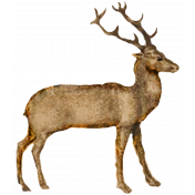 Medieval Stag 