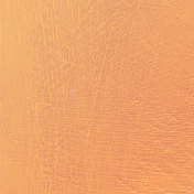 Tangerine paint texture