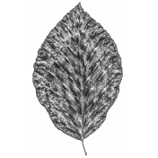 Leaf 03