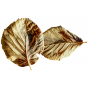 Leaf 8