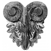 Stone Owl face Monochrome