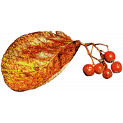 Leaf and fruit