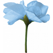 Summer Vacation - Light Blue Flower 01