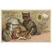 World Cat Day - ephemera 05