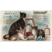 World Cat Day- ephemera 02