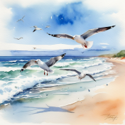 Seagulls on beach