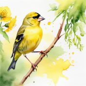 Yellow Finch Paper