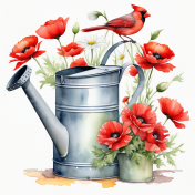 Cardinal and Poppy watering can