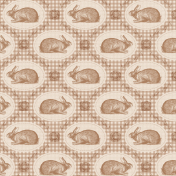 Simply Springtime Brown Bunny Gingham Paper BB