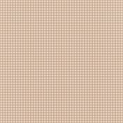 Simply Springtime Brown and Cream Gingham Paper BB