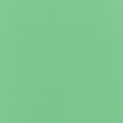 Simply Springtime Solid Green Paper BB