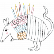 Birthday Illustration Armadillo