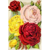Seriously Floral Pocket Card 03 4x6