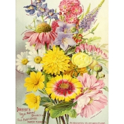 Seriously Floral Pocket Card 24 3x4