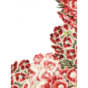 Seriously Floral Pocket Card 28 3x4