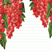 Seriously Floral Pocket Card 43 4x4