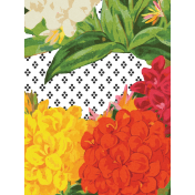 Seriously Floral Pocket Card 31 3x4