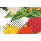 Seriously Floral Pocket Card 31 4x6