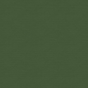 Back To Nature Solid Paper Green Dark