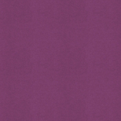 Wildflower Solid Paper Purple