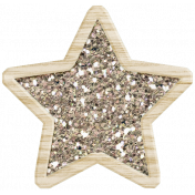 Winter Fun Glitter Star