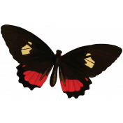 Spring Day Ephemera- Butterfly 3