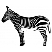 Kenya Elements sticker zebra