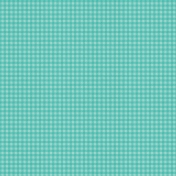 BYB- Gingham Papers- Teal